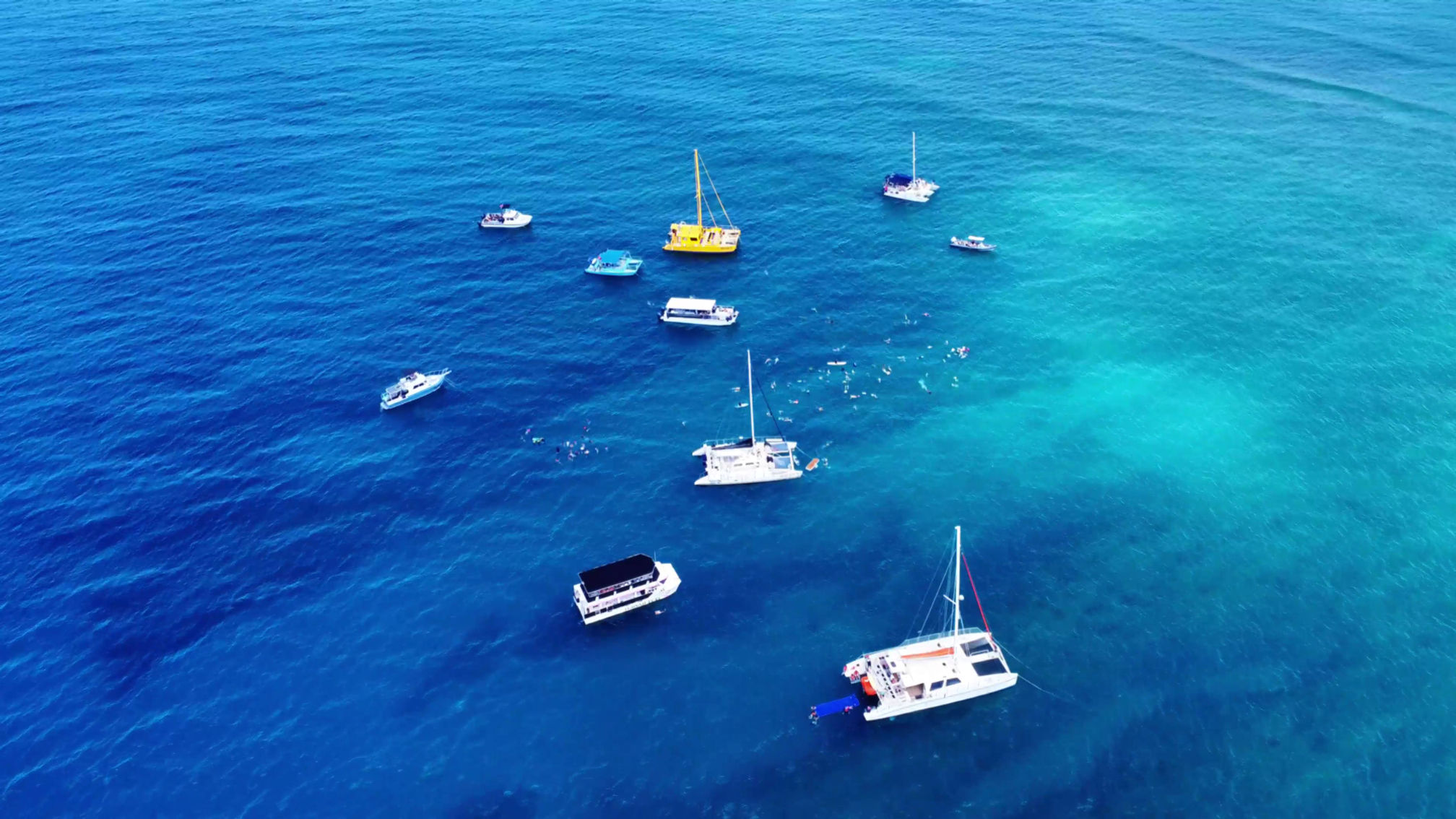 Iruka Turtle Tours Promotional Video
